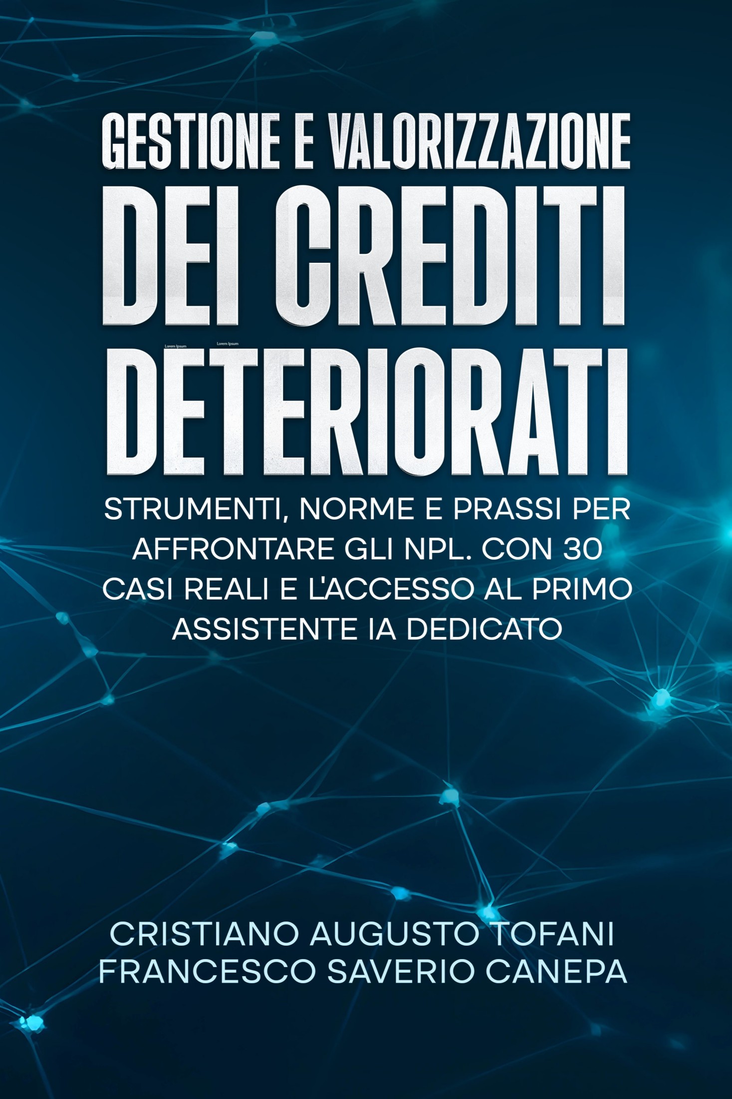 Gestione e Valorizzazione dei Crediti Deteriorati